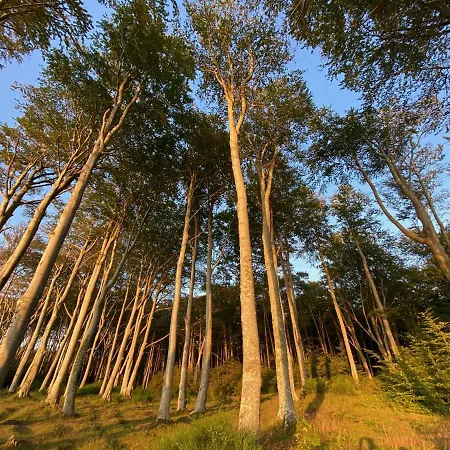 Na Klifie * Debina (Ustka)