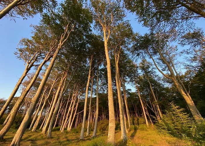 Na Klifie * Debina (Ustka)