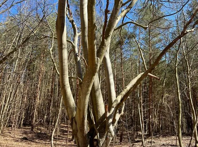 Apartament Na Klifie