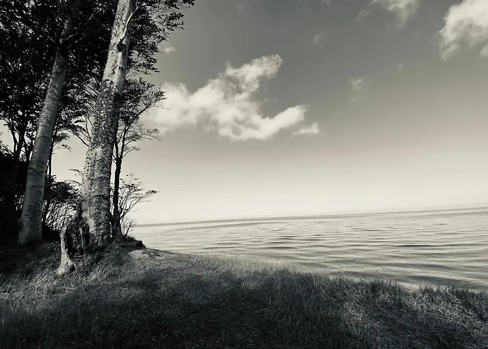 Na Klifie * Debina (Ustka)